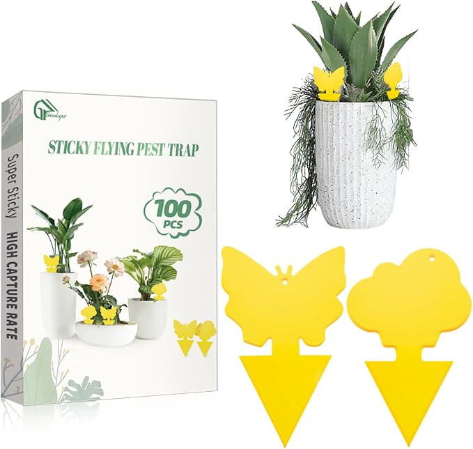 100 Pcs Sticky Traps for Fungus Gnat (Plants), Fruit Fly, Whitefly, and Fly, Yellow Sticky Insect Catcher Traps for Indoor/Outdoor, Kitchen, and Plants, High-End Glue, Non-Toxic (100 Pcs Yellow)