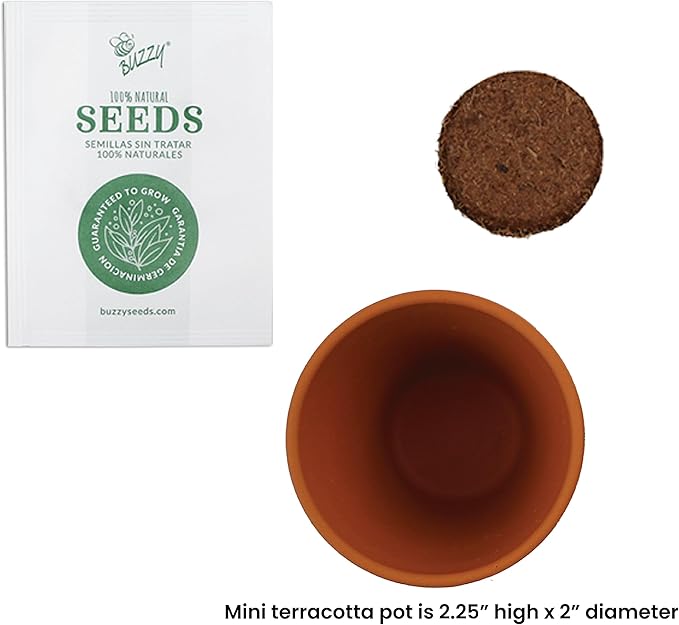 BUZZY Seeds Mini Terracotta Grow Kit, Assorted 20-Pack - Mini Terracotta Pot Grow Set - 100% Grow Guarantee