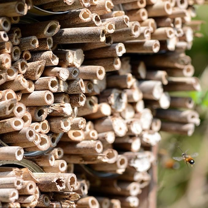 Natural Bamboo Mason Bee Tubes, 7.87-Inch 20pc Bees House Refills, Beekeeper Replacement Mason Bees Reeds for Bee Hotels, Pollinator Boxes