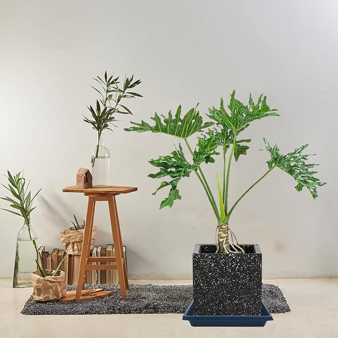 Square Plant Saucer 10 Inch 2 Pack, Plant Drip Trays and Flower Pot Saucers，Doubles Plant Water Catcher Tray, Plant Trays for Indoors No Holes, Plant Drainage Tray Saucers for Potted Plants
