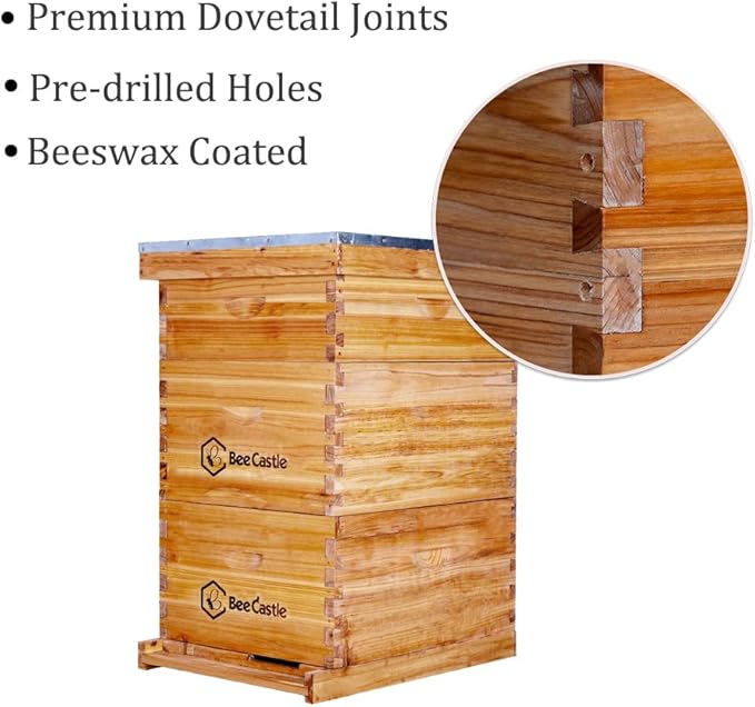 BeeCastle 8 Frame Langstroth Bee Hive Coated with Beeswax Includes Beehive Frames and Waxed Foundations (2 Deep Boxes & 1 Medium Box)