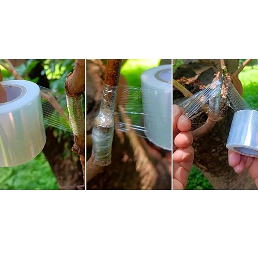 Premium Tree Grafting Tape – 1.6" (40mm) x 2000ft (600m) – Clear Stretchable Self-Fusing Film for Fruit Tree Repair, Budding & Plant Propagation – Waterproof Floristry Wrap for Roses, Citrus, Apples