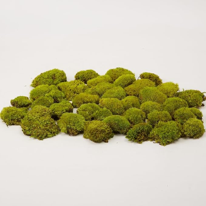 Preserved Pole Moss Pillow Bun Cushion Natural Decorative Real Natural Green DIY Kit Gardenning Art Wall Decor Florist Decor Easter Table Decor Wedding (1.5 sq.ft, Green-D)