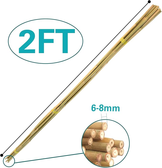 Bamboo Stakes 2FT 35pcs, 24 inch Garden Stakes Multi-Purpose, Bamboo Plant Support Stakes for Beans, Peppers, Flowers, Potted, Maintain the Plant Posture, Strengthen and Stem