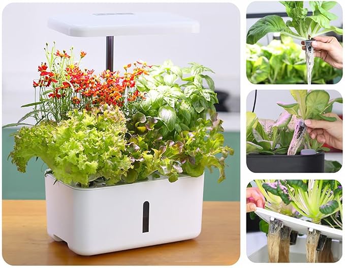 GSHLLO 50 Pcs Hydroponics Grow Sponges Plant Seed Starter Pods Indoor Growing System Plant Growth Pods Seedling Starter Grow Sponges Garden Root Pods