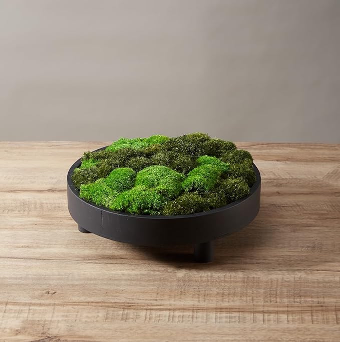 Large Natural Green Decorative Moss Reindeer Vase & Bowl Filler|Preserved Leaves, Ferns, Dried Plant Christmas Wedding Party Decor(Christmas-1)