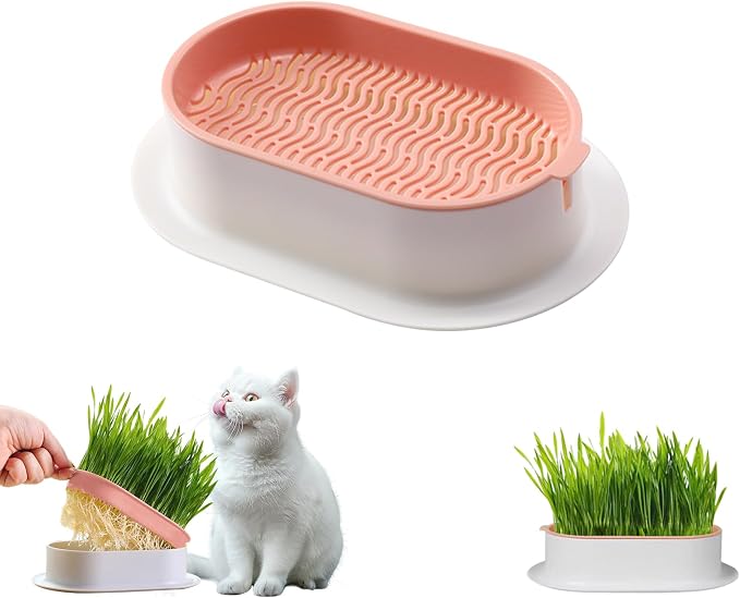 Cat Grass Planter, Hydroponic Cat Grass Kit with Germination Tray, Soil-Free Cat Grass Tray for Indoor Cats, Microgreens Growing Tray, No Seeds Included