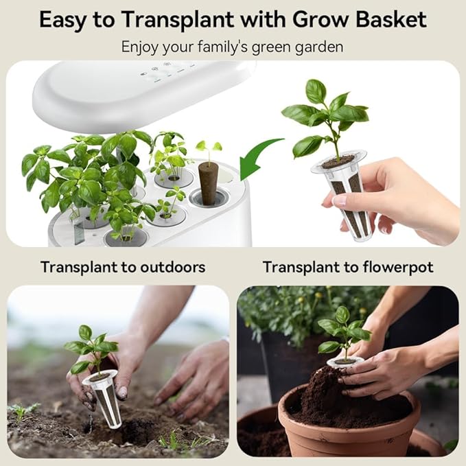 Inbloom 7-Pods Salad Greens Seed Pod Kit for AeroGarden, Ahopegarden, Gardencube Hydroponic Garden with Spinach, Buttercrunch, Paris & American Lettuce, Swiss Chard, Arugula, Bok Choy - 350 Seeds