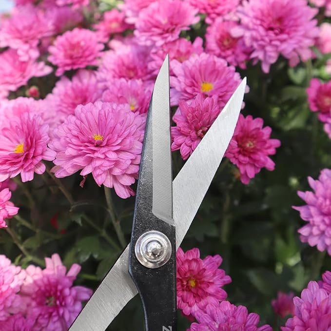 ZENPORT:Zenport Deluxe Scissors, Garden/Fruit/Craft, 6.5 in. L (Box of 3) ZS105-3PK
