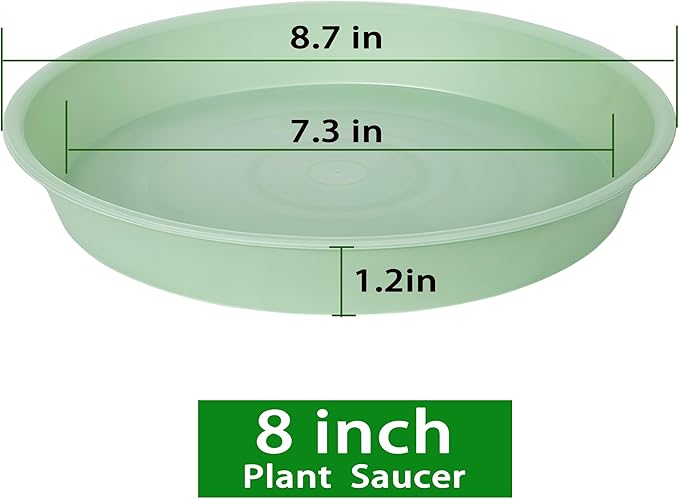 2 Pack of 8 inch Plant Saucer Clear, Heavy Duty Plastic Plant Water Tray 8 inch Round, Flower Plant Saucers for Indoors No Holes, Plant Dishes Saucer for Planter 7"/8" (8", Light Green)