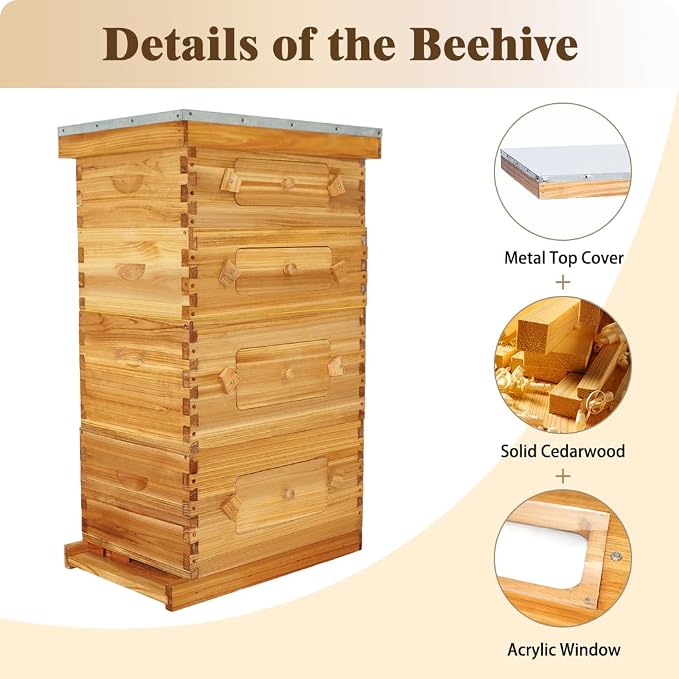 BeeCastle 10 Frame Langstroth Bee Hive with Windows Beeswax Coated Includes Beehive Frames and Waxed Foundations (2 Deep Beehive Boxes & 2 Medium Bee Boxes)