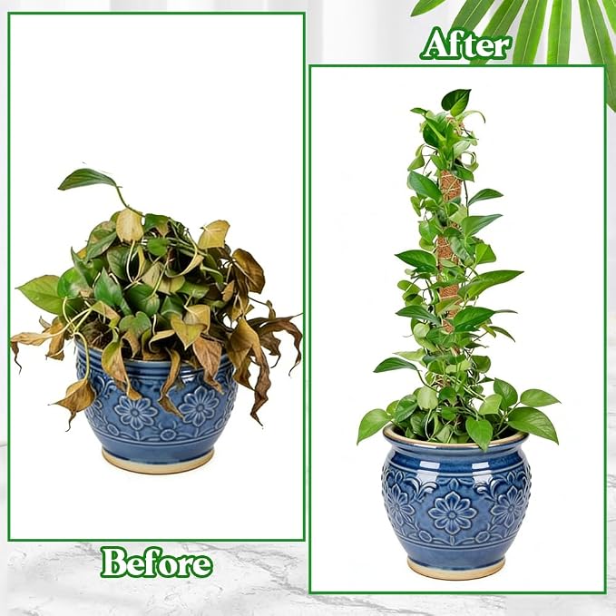 Moss Pole Monstera Plant Support 2 Pack 32 Inch Bendable Moss Pole for Monstera Plants Indoor Handmade Coco Coir Pole Plant Sticks Support Stakes for Potted Plants Philodendron to Grow Upwards