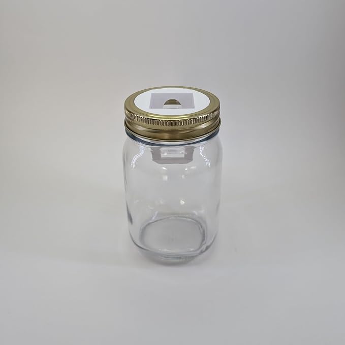 Grow Cubes Mason Jar Adapters for Kratky and DWC Gardening/Compatible with Gardyn (10 Mason Jar Regular Mouth adapters)