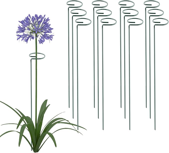 Thealyn 24 Inch 20 Packs Plant Support Stakes, Garden Single stemmed Plant Support Hoops Plant Prop for Flowers Orchid Tomatoes Peony Lily Rose Gladiolus (24 inch)