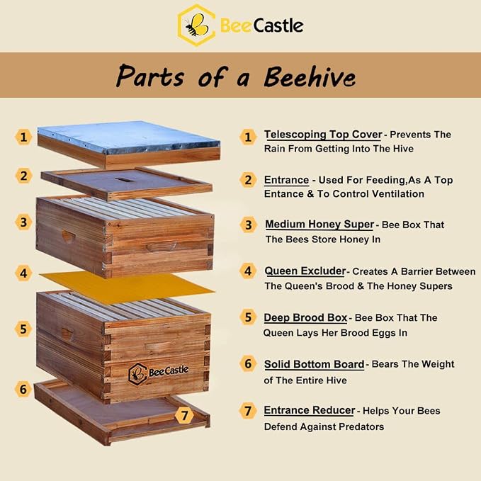 BeeCastle 8 Frame Langstroth Bee Hive Coated with Beeswax Includes Beehive Frames and Waxed Foundations (1 Deep Box & 1 Medium Box)