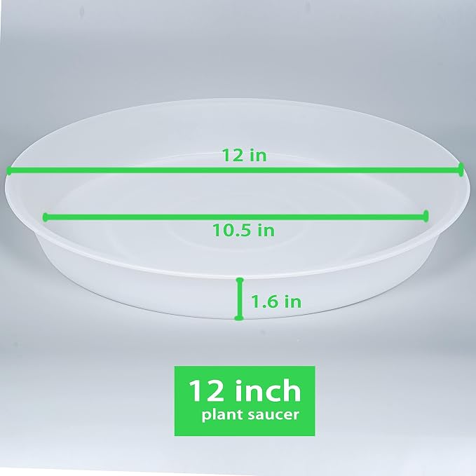 2 Pack of 12 inch Plant Saucer, 1.7" Depth Tray, Large Deep Garden Plastic Flower Planter Plant Trays for Indoors Outdoor Bath Bath (12", Clear)