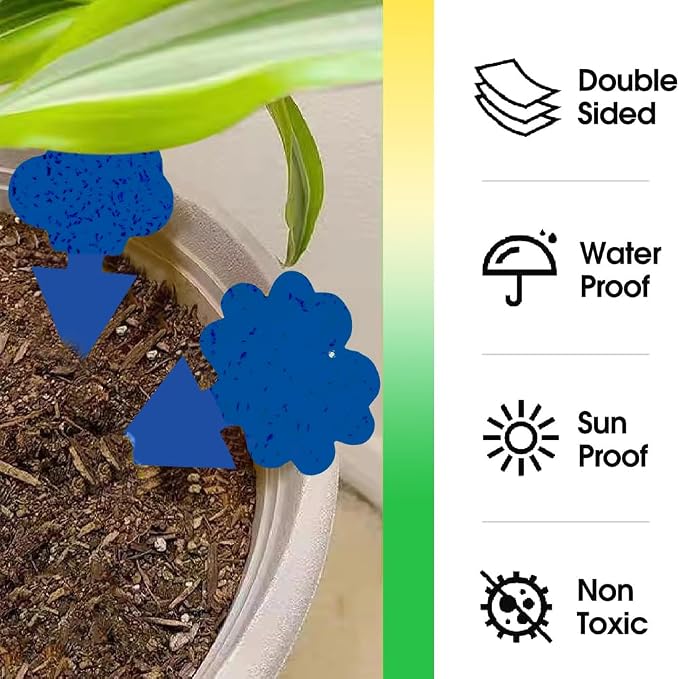 58 Pack Gnat Killer Sticky Traps for Plants - Blue Fungus Gnat Sticky Trap for Indoor Houseplants, Fruit Flies, Whiteflies, Aphids - Family Friendly Design, Flower and Cloud Shapes