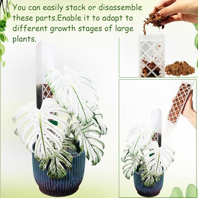 MIIIM 3 Pcs Self-Watering Moss Poles, D Shape Moss Pole Kit for Climbing Plants Indoor, Semi Transparent Monstera Plant Support, 39 Inches in Total Length