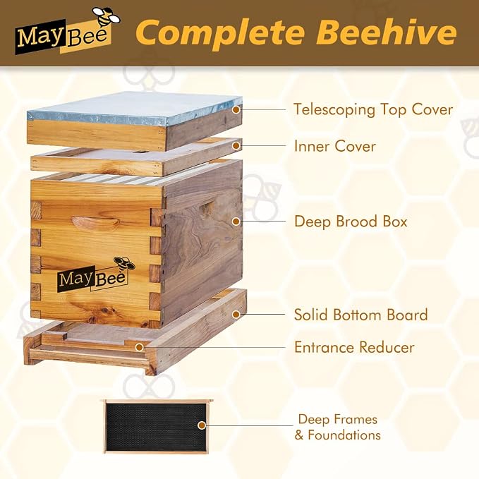 MayBee 5-Frame Nuc Beehive Box for Beekeeping Complete Bee Hive Nuc Box Kit Dipped in 100% Beeswax Includes 5 Wooden Frames & Heavy Wax Coated Foundations