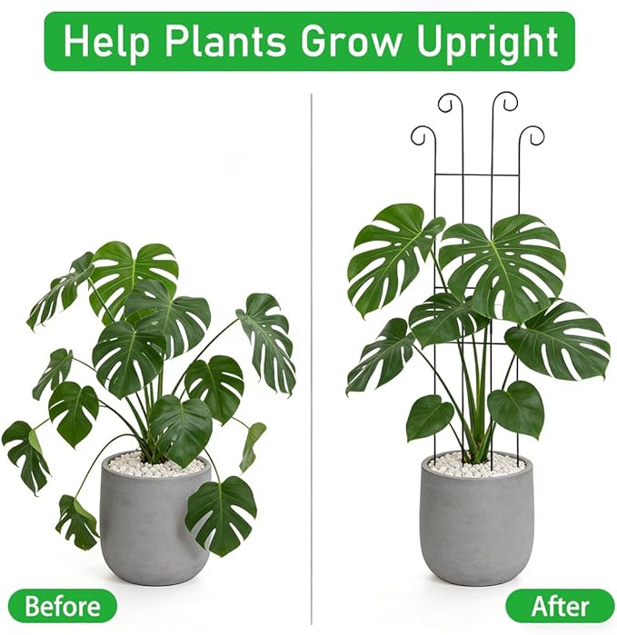 32.6inch Plant Trellis for Pot Climbing Plants Indoors & Outdoor, Garden Trellis for Potted Plants, Rust-Proof Metal Sturdy Yet Gentle Climbing Stakes Support for Ivy Pothos Hoya Monstera (6pcs)