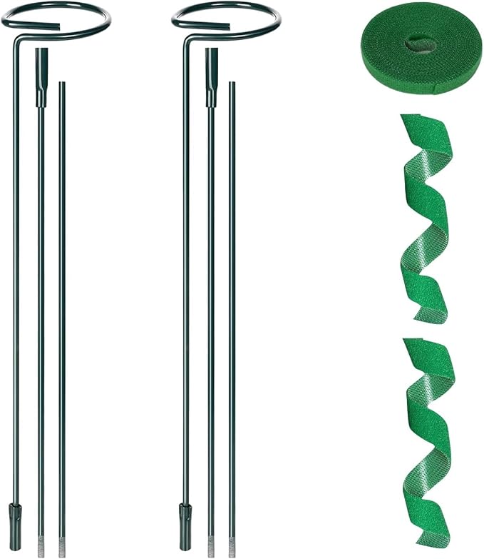 2 Pack Plant Support Sticks, 3 Sizes (12 or 24 or 36 inch) Garden Plant Stake, Plant Support Rings for Indoor Outdoor with Plants Ties, Plants Stakes for Flowers, Climbing Plants, Orchid