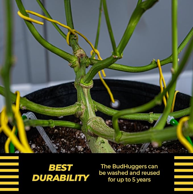 BudHuggers (Red) for Optimal Plant Training | 50ft (15M) | 3mm Thick Garden Wire Ties | Flexible & Durable | Rubber Plant Ties to Yield Bigger Buds, Stronger Branches & Larger Canopies