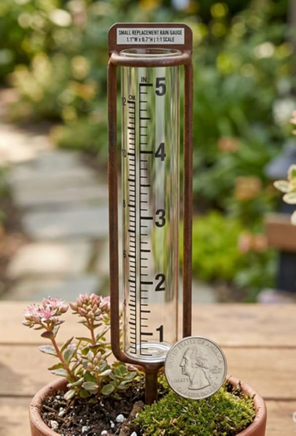 Replacement Rain Gauge Glass (Small)