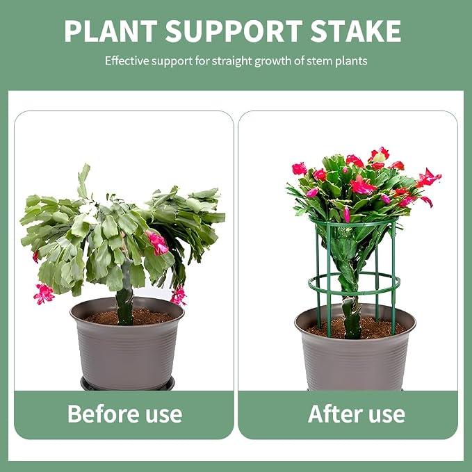 12Pcs Plant Support Stake,Half Round Plant Support Ring with 20 Pcs Clips,Plastic Plants Cage Holder for Small Plants Flower Vegetable,Indoor Leafy Plan t(Green,Size:24 x 14cm/9.45 x 5.51inch)