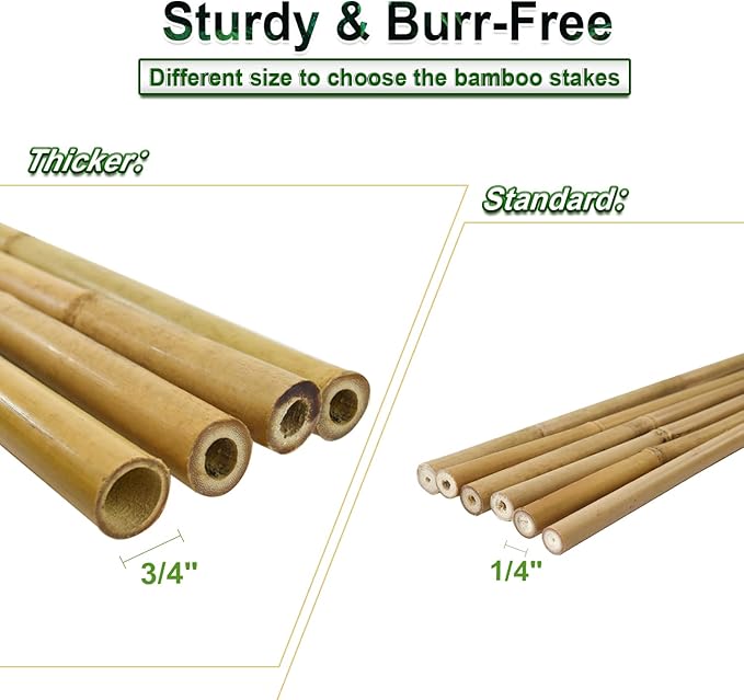 Jollybower 15pcs 3/4" D Thicker Heavy Duty Bamboo Stakes, 7FT Plant Stakes, Natural Garden Stakes for Tomato, Bean, Flowers,Trees Potted and Climbing Plant Support