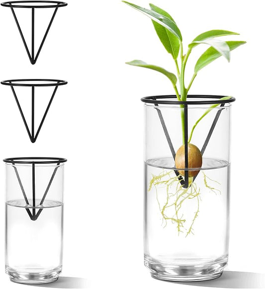 4Pcs Avocado Seed Starter vase Holders That can be Used as Propagation Kits for Plant Propagation vases, not only for Avocados but Also for Other Similar Plants (Carrots, Sweet Potatoes, etc)
