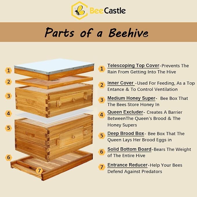 BeeCastle 10-Frame Langstroth Beehive, Beeswaxed Coated Bee Hive Starter Kit for Beekeeping Beginners with Beehive Frame and Waxed Foundation (1 Deep Beehive Box & 1 Medium Beehive Box)