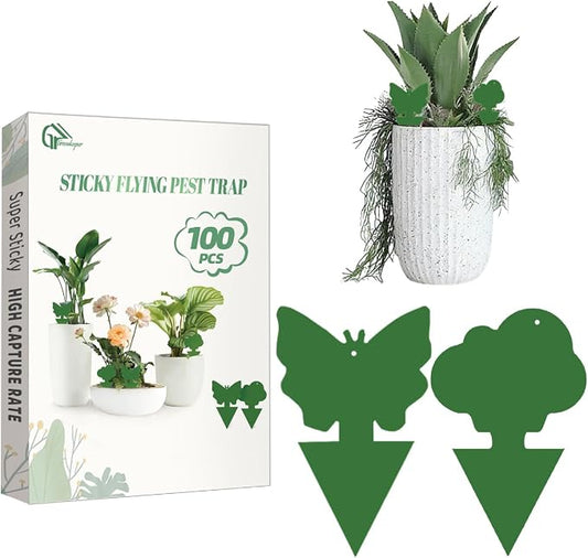 100 Pcs Sticky Traps for Fungus Gnat (Plants), Fruit Fly, Whitefly, and Fly, Yellow Sticky Insect Catcher Traps for Indoor/Outdoor, Kitchen, and Plants, High-End Glue, Non-Toxic (100 Pcs Green)