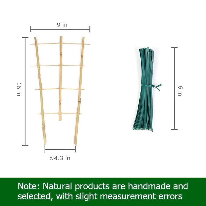Cambaverd Plant Trellis Indoor 6 Pack Bamboo Trellis with Twist Ties, 16in Fan-Shaped Plant Trellises for Potted Plants Hoya Vines Monstera Houseplants