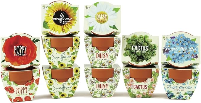 BUZZY Seeds Mini Terracotta Grow Kit 12-Pack - Mini Terracotta Pot Grow Set - Complete Indoor/Outdoor Gardening Kit with Seeds, Coconut Husk Growing Medium & Genuine Pots - 100% Grow Guarantee
