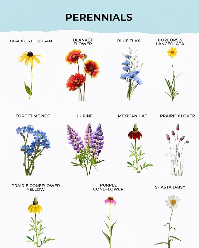 Tactiko Garden 29 Memorial Wildflower Seeds Mix – 30,000+ 1 oz Remembrance Garden Seeds for Loved Ones & Pets – Sympathy Gift, Funeral Favors, Celebration of Life Garden Kit, 150 sq ft Coverage