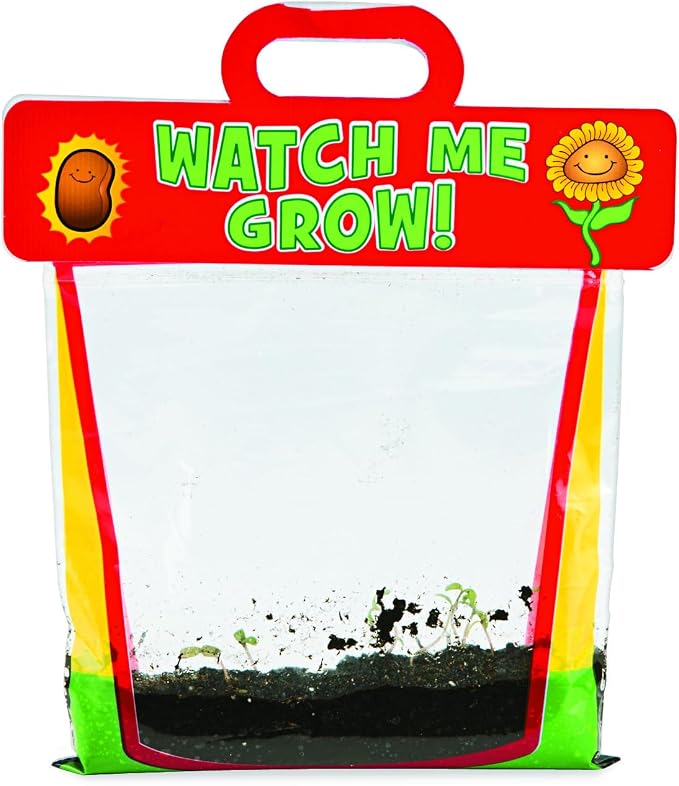 Fun Express Clear Vinyl Pocket Greenhouses - 6.5" x 9" See-Through Mini Greenhouses for Educational Activities and Learning Fun for Kids - 12 Pieces