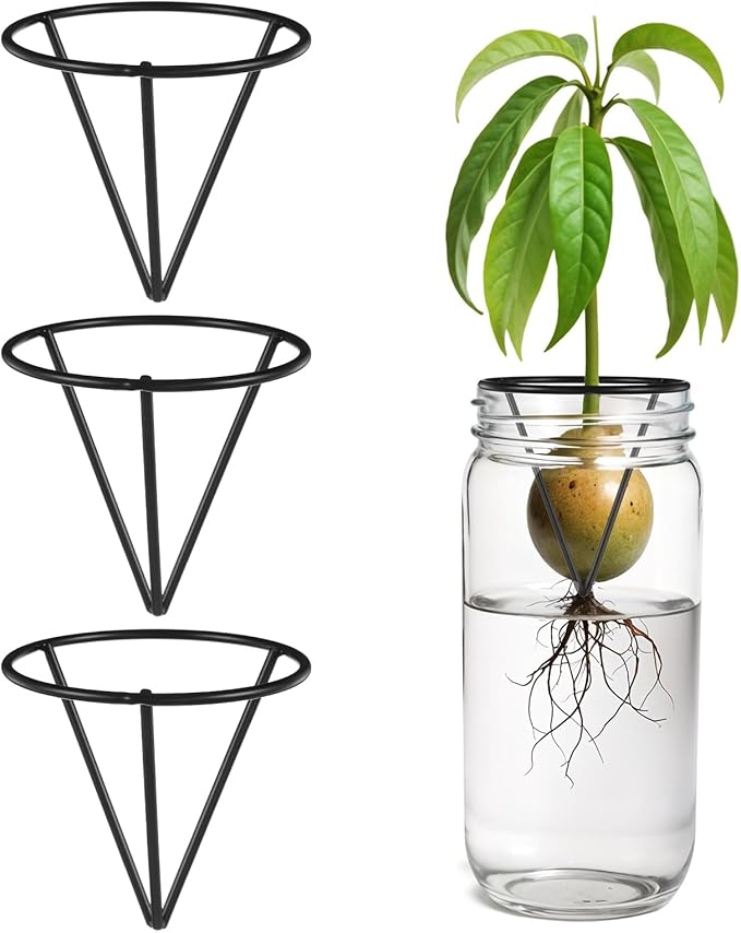 Tyqour 3 Pcs Avocado Tree Growing Kits - Avocado Seed Starter Vase Rack, Seed Holder for Mason Jar of Wide-Mouth, Triangular Metal Bracket for Home Office, Gardening Lovers Gift (Black,Without Jar)