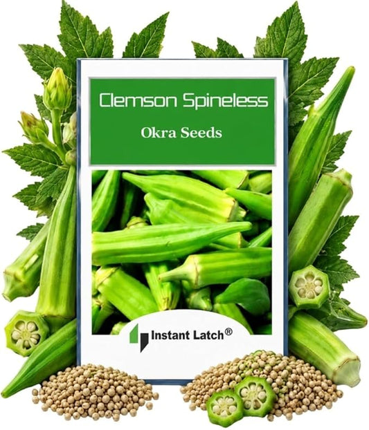 100 Clemson Spineless Okra Seeds for Planting Non GMO Heirloom Seeds Fresh Garden Seed