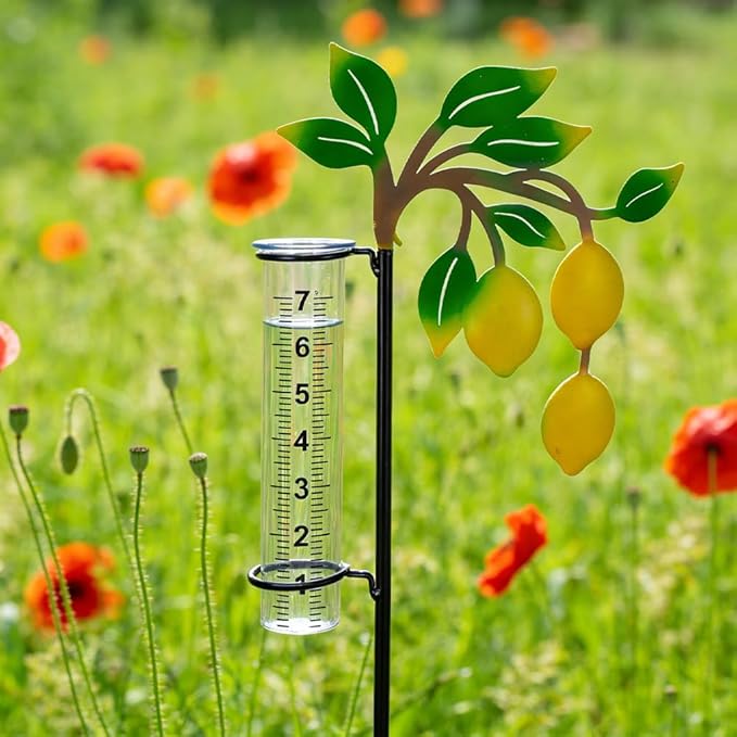 Rain Gauge with 7-Inch Tube, Unique Rain Gauge Outdoor, Decorative Rain Water Gauge for Garden, Yard, Lawn