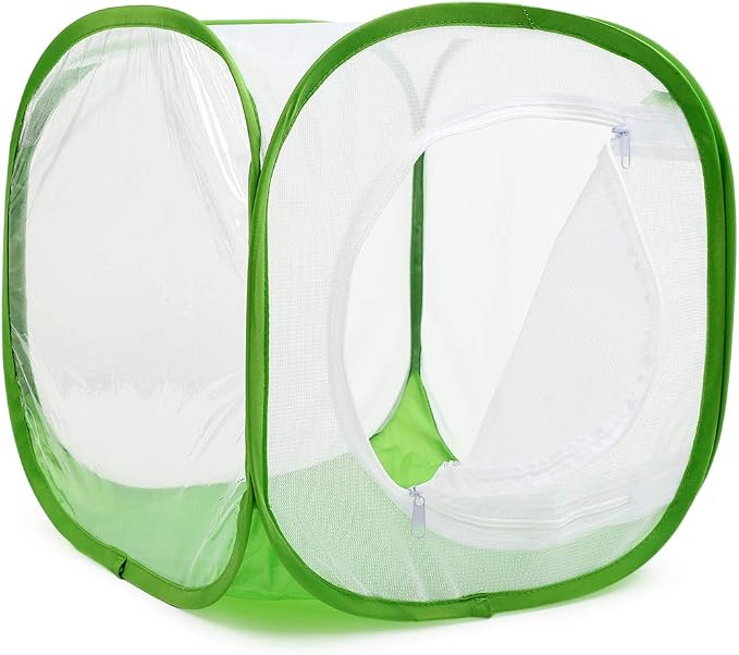 Insect and Butterfly Habitat Cage Terrarium Pop-up 12 X 12 X 12 Inches, Polyester Bottom for Easier Clean