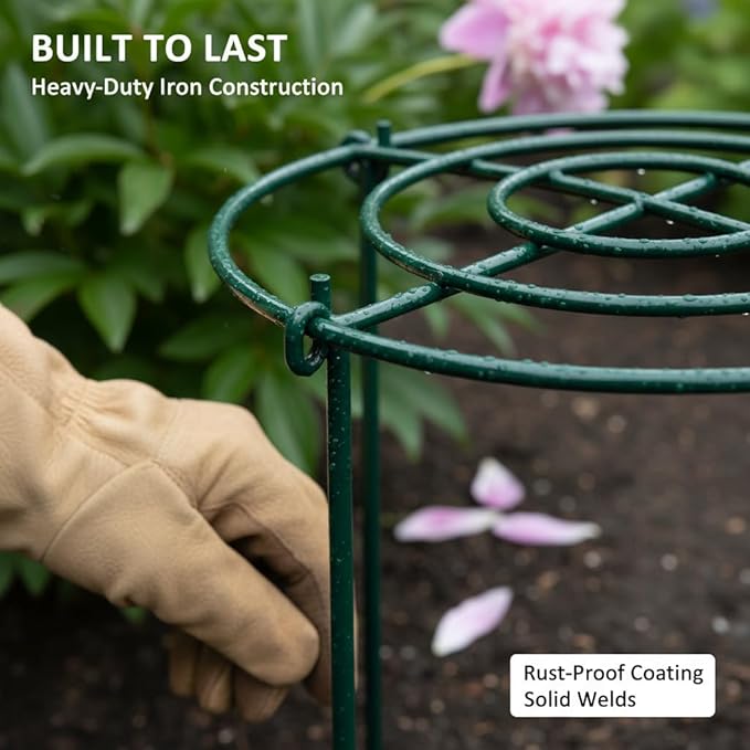 DAYUMKOU 8 Pack Peony Cages and Supports, 14" D x 24" H Plant Supports for Outdoor Plants, Heavy Duty Metal Peony Support Cage Flower Support Rings for Rose Hydrangea Strawberry