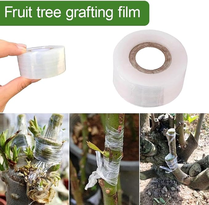 2Pcs Grafting Tape for Fruit Trees,656FT PE Stretchable Clear Floral Tape Film Self-Adhesive,Garden Plants Repair Budding Tapes for Fruit Trees, for Fruits, Floral and Tree