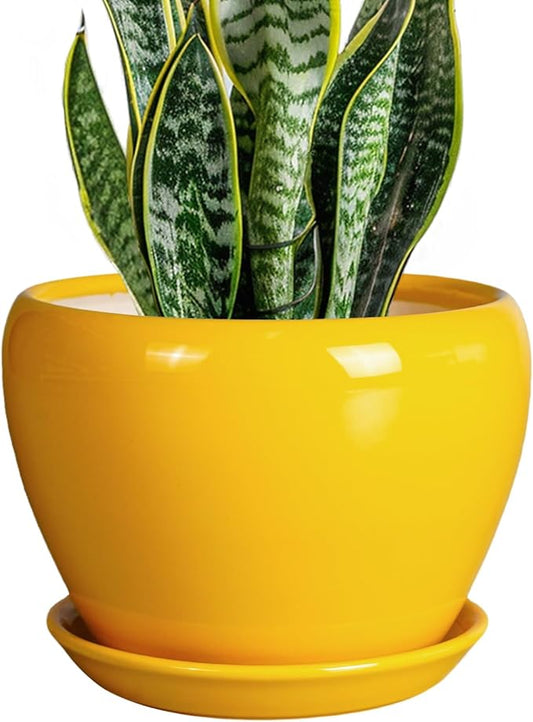 Ceramicfor 8 Inch Plant Pot - Glaze Modern Round Ceramic Planter for Indoor Outdoor Plants with Drainage Hole and Saucer for Home Patio Room Office Decor, Yellow