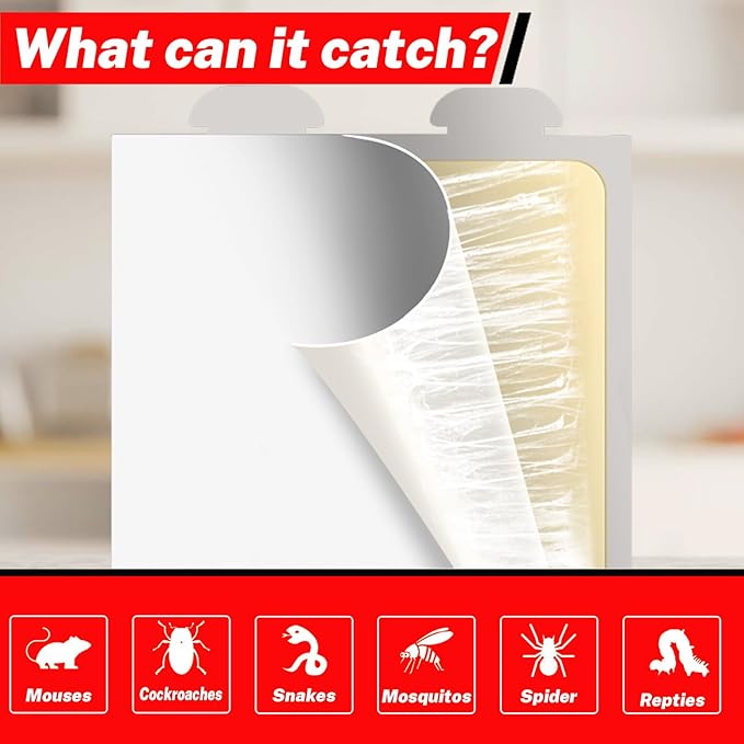 Mouses Traps Indoor for Home Sticky Insect Glue Adhesive for Catching Bugs, Rats, Rodents Non Toxic Bulk Glue Boards