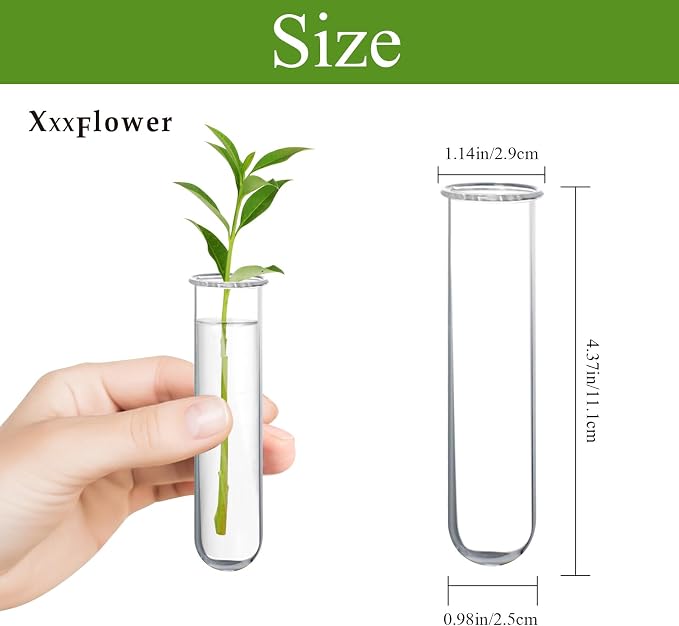 XXXFLOWER Glass Propagation Stations Accessories Glass Test Tubes Tiers Planters Wall Terrarium for Home Office Plant Hanger Flower Vases Wall Decor Hydroponic Cuttings (4 Tube Vases) Clear
