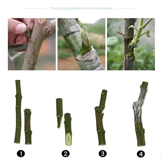 SUCA Grafting Tape, Grafting Tool Buddy Plant, 2 Color 4PCS with Various Elasticity (4pcs)