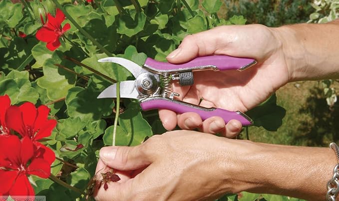 DRAMM 50032 Watering and Tool Set in Green Includes 16-Inch Touch 'N Flow Pro Rain Wand, 9-Pattern Revolver Spray Gun, and Compact Shear, Orange