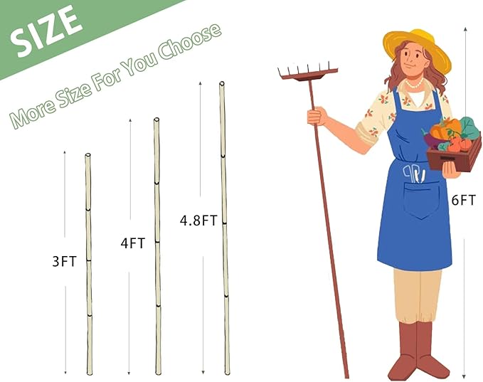 Plant Bamboo Post,4.8Feet,Bamboo Garden Stakes,50PcsBamboo Stakes,for Tomato,Beans,Vegetable and Flowers, Potted Plants,Indoor and Outdoor Climbing Plants