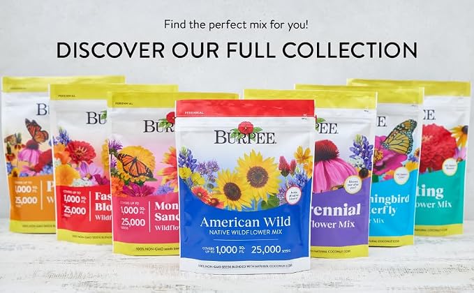 Burpee Wildflower Mix Monarch Sanctuary Seeds | 25,000 Non-GMO Seeds, 3 Types of Butterfly Weed Plus Cornflower, Lupine, Echinacea, and More | Pollinator Garden Attracts Monarch Butterflies