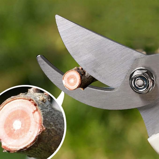 2-Pack Premium Gardening Pruning Shears Set - Includes Straight Blade Scissors & Bypass Pruner - Stainless Steel Blades for Easy Trimming, Cutting Branches, Flowers & Fruits